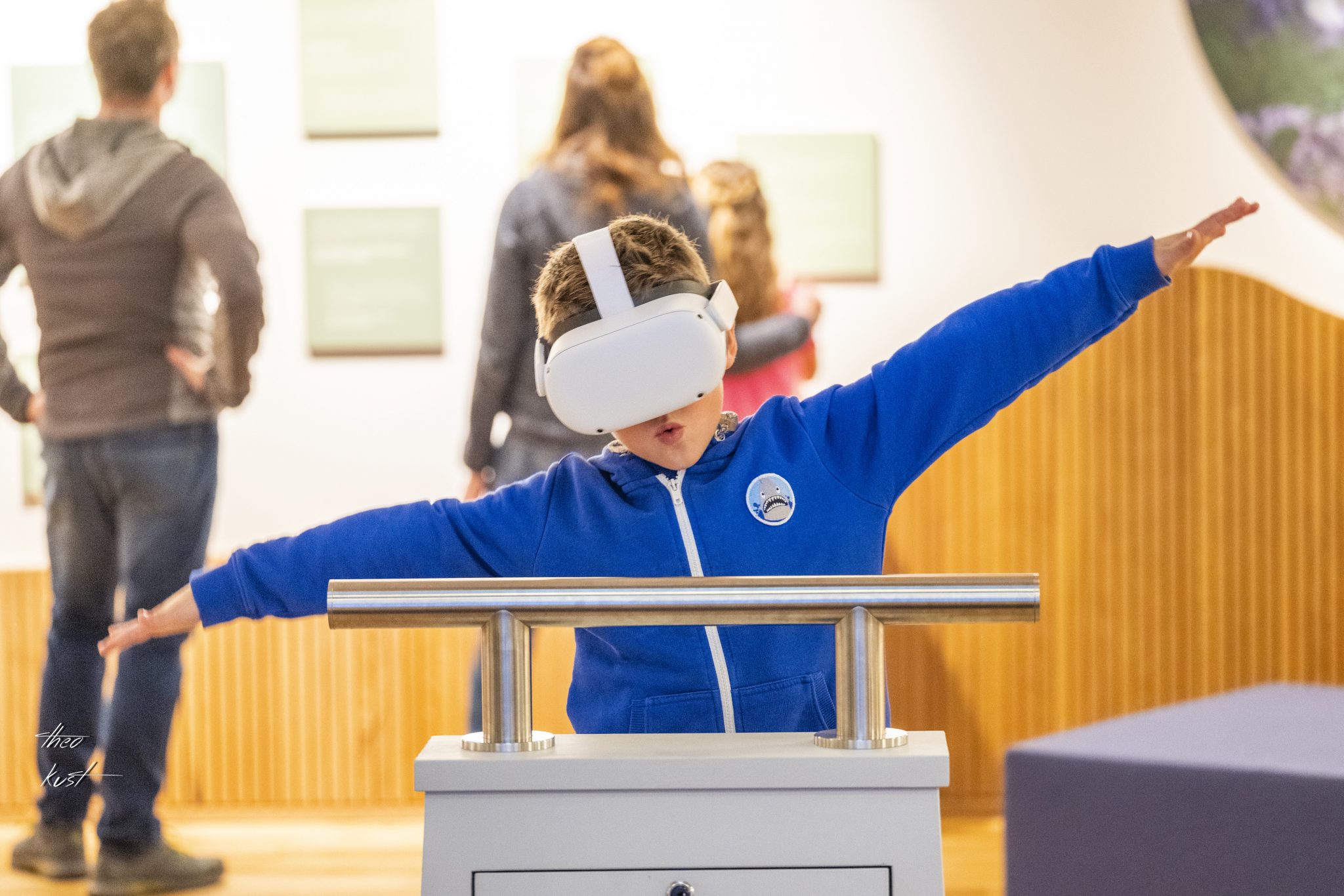 Haus der Wildnis - Fliegen wie der Habichtskauz