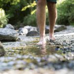 die_balance_in_der_natur_finden_c_idm_alex_filz_fontis_eco_farm_suites