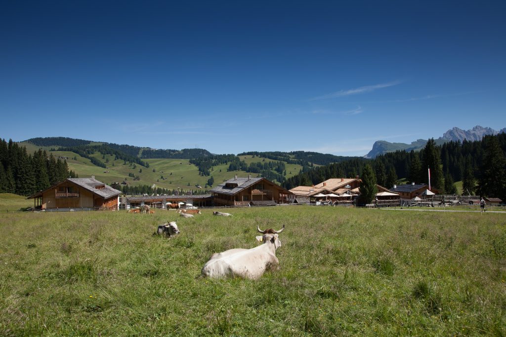 die_einzigartige_kulisse_der_seiser_alm_beim_hotel_tirler_tirler-_dolomites_living_hotel