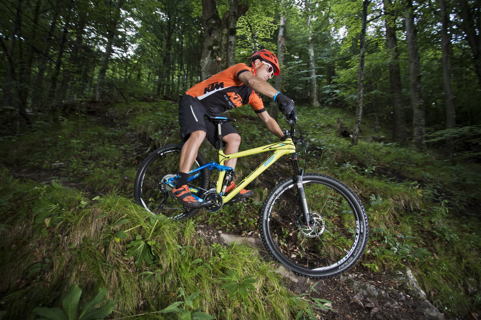 downhill_rent_and_go_olang