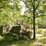 2266Blockheide(c)Waldviertel Tourismus, Robert Herbst