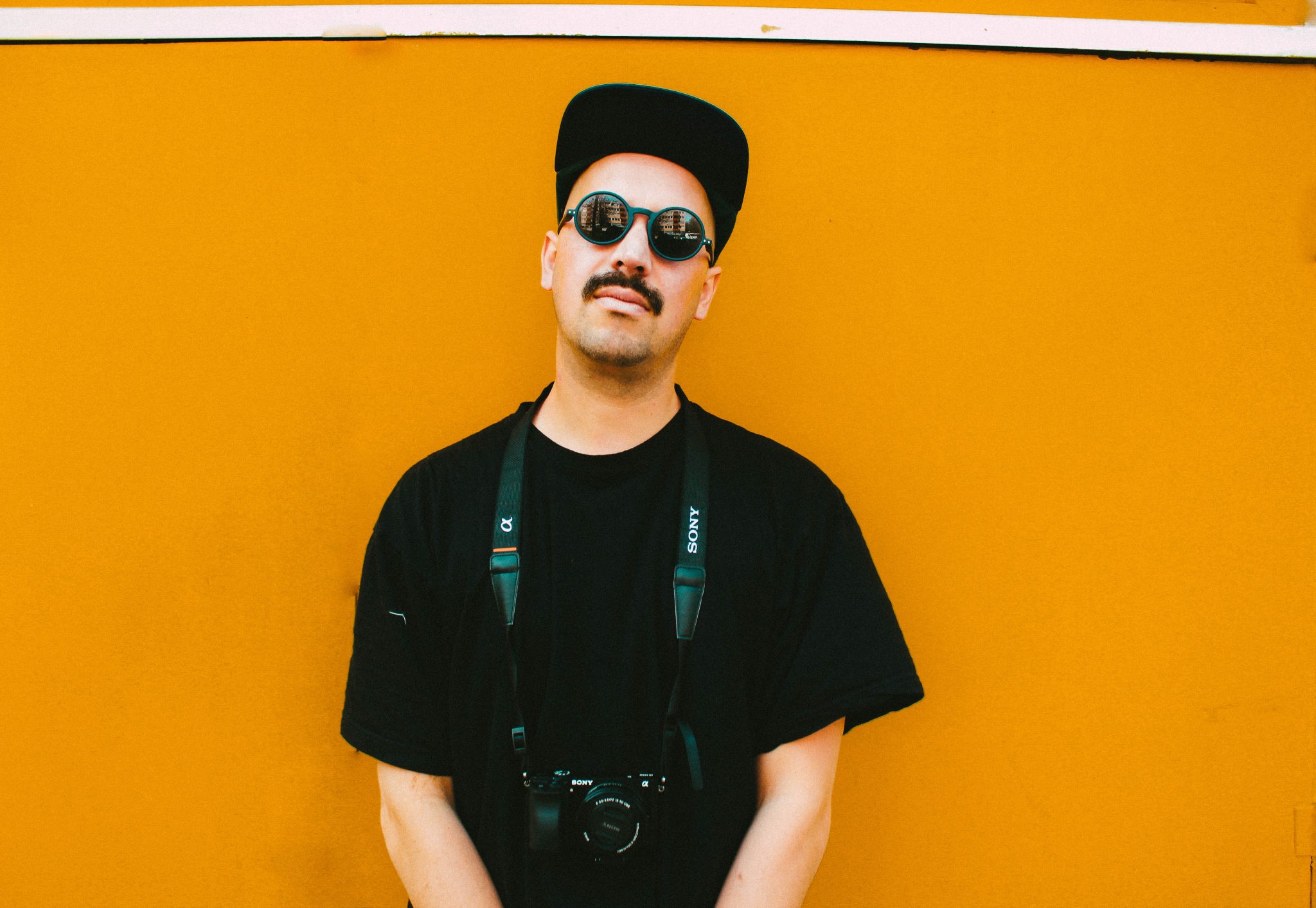 MagicDelphin(c)SebastianKönig-10 (4)