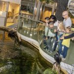 Natur Erleben am Donaubecken im Haus für Natur