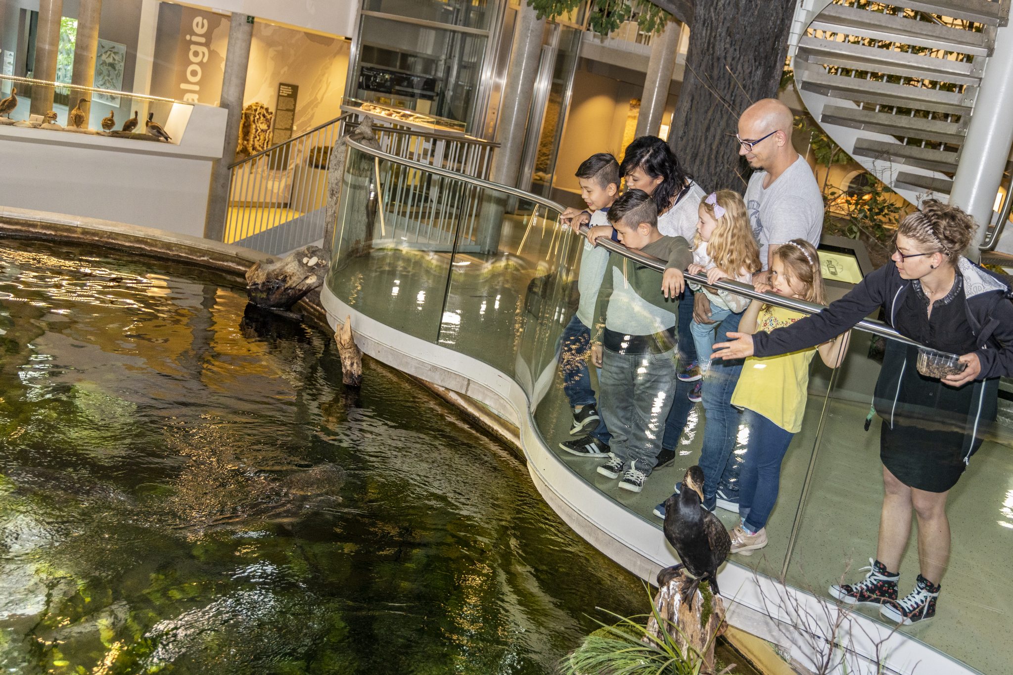 Natur Erleben am Donaubecken im Haus für Natur