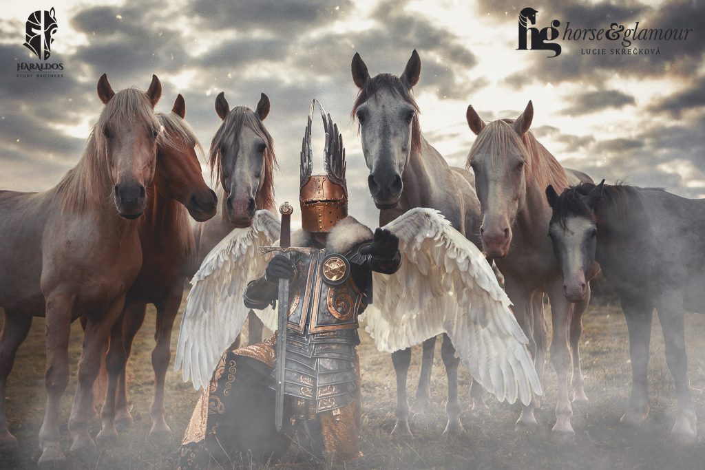 Stuntreiter und großes Ritterturnier zu Pferde