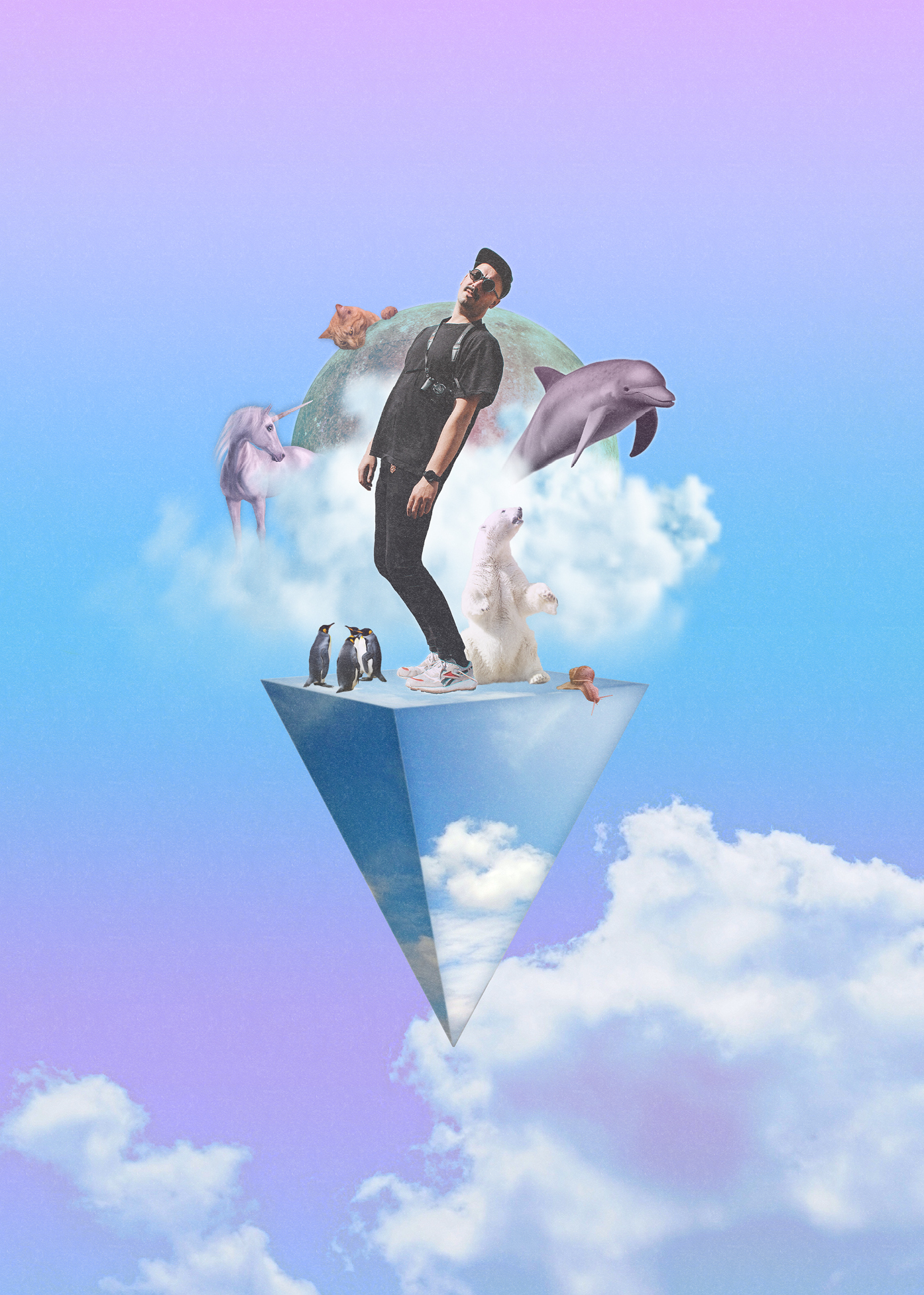 Toihaus_Magic_Delphin_Sujet_(c)_Nicola_Lieser