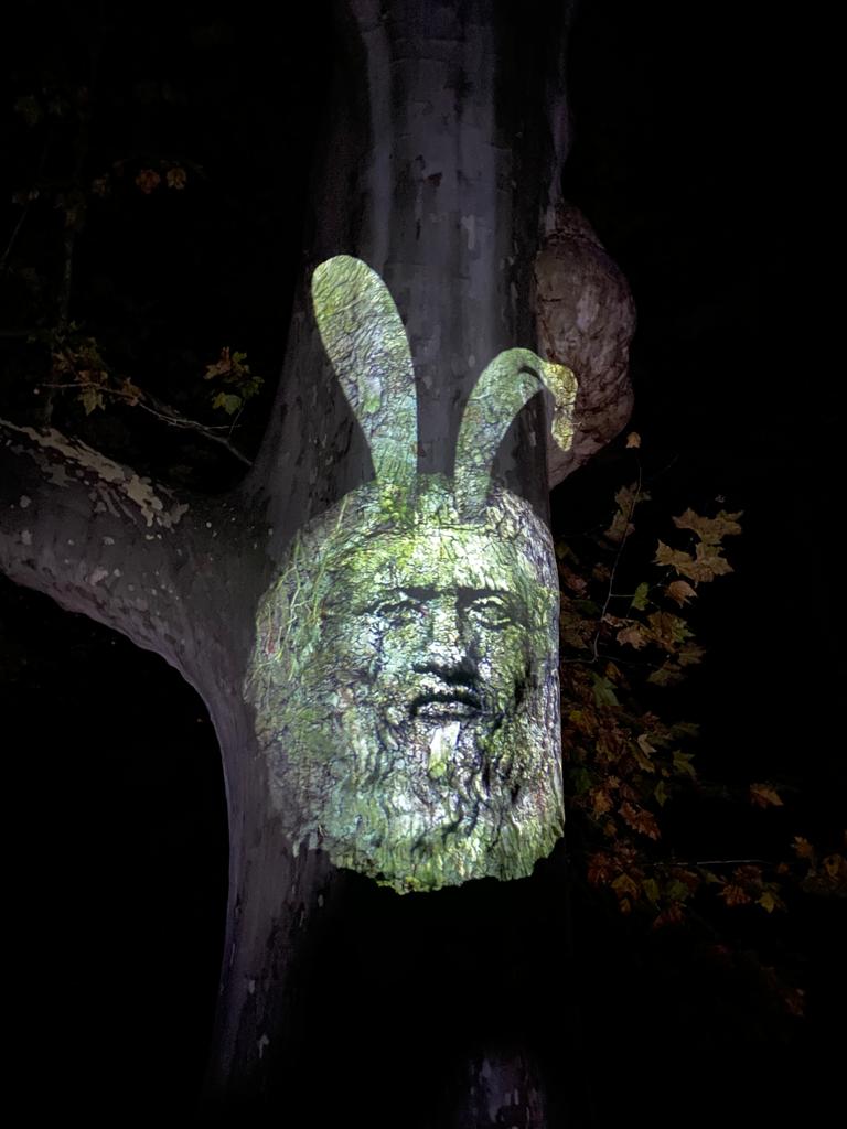 Illumina, der magische Lichtergarten im Schlosspark Laxenburg Der sprechende Baum