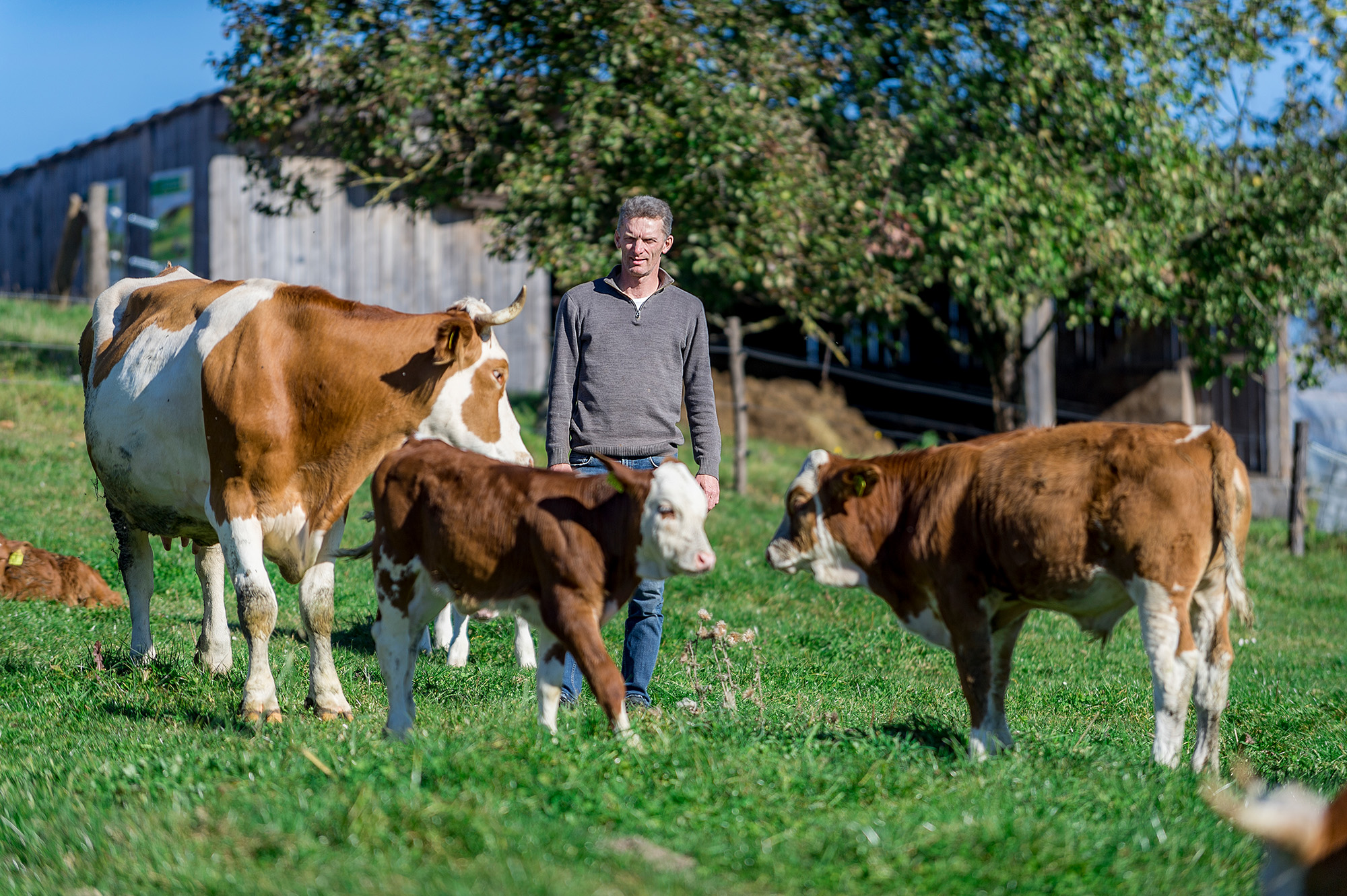 Bio-Landwirt Thomas Seyr SPAR, Martin Pröll