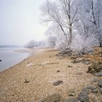 Nationalpark-Donau-Auen-Winterstimmung -Popp