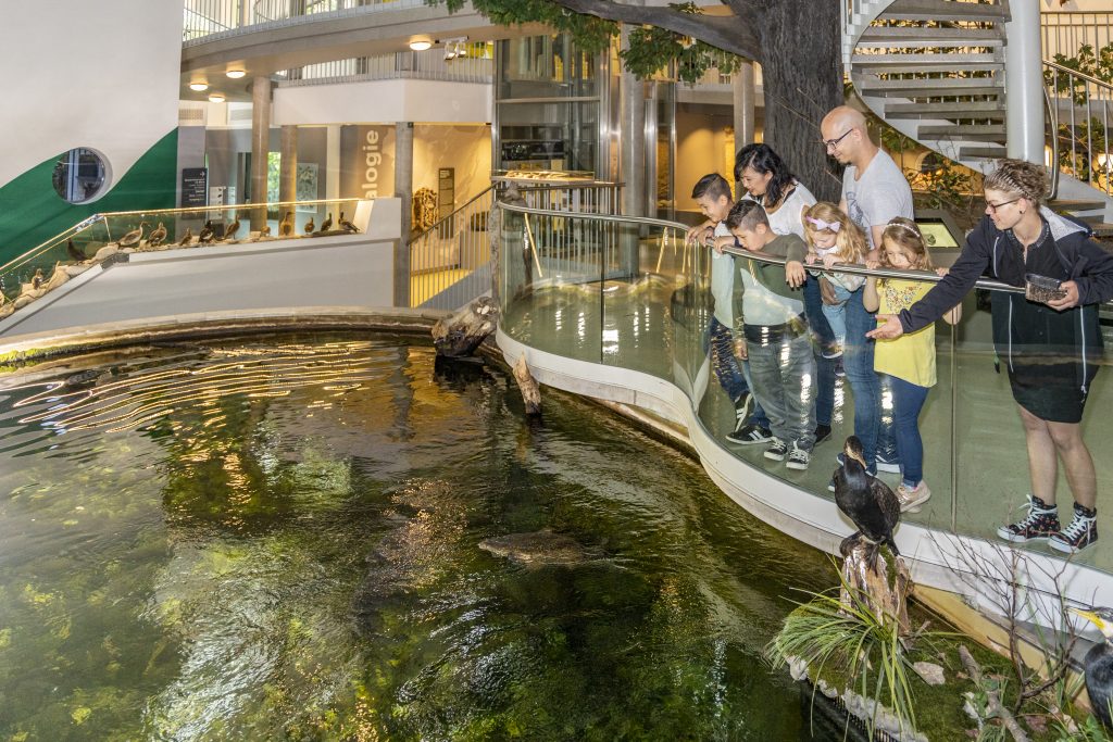 HausfuerNatur2020_FotoTheoKust (23)