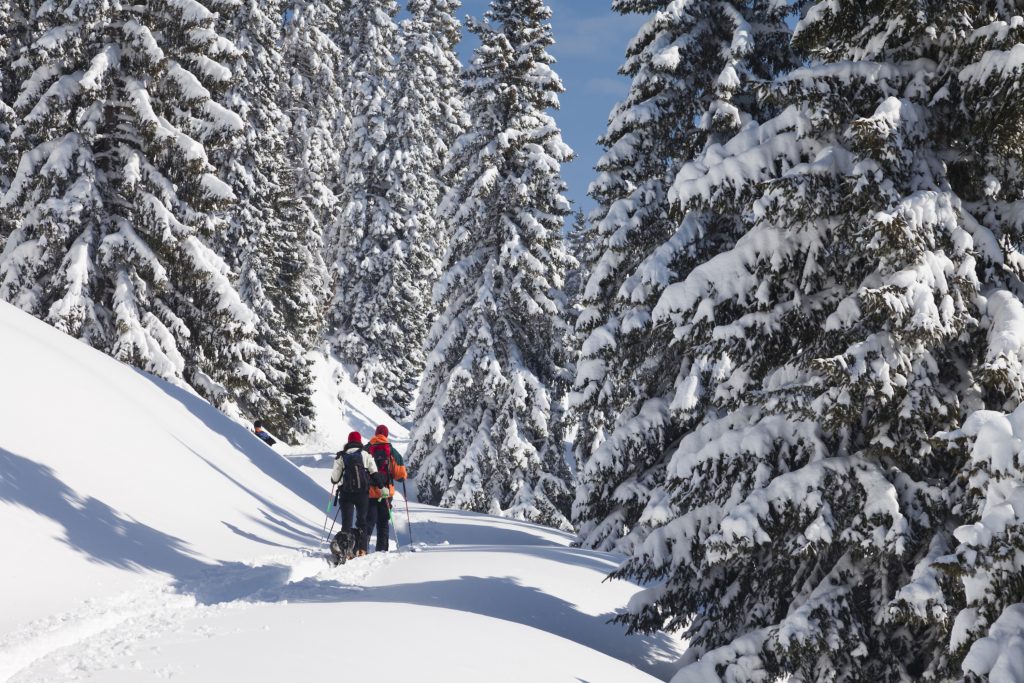 Skitourengehen in Österreich
