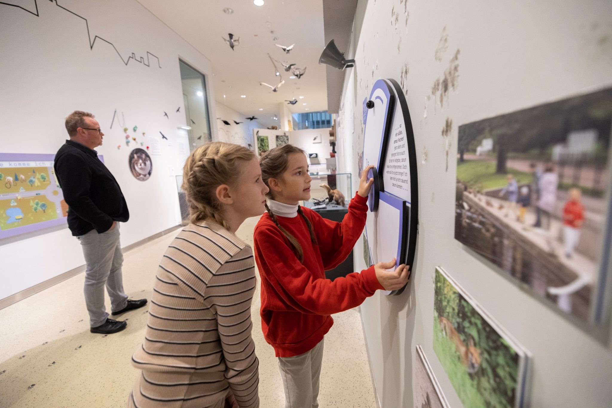 Ausstellung _Wildnis Stadt_ (1) Info Museum NÖ