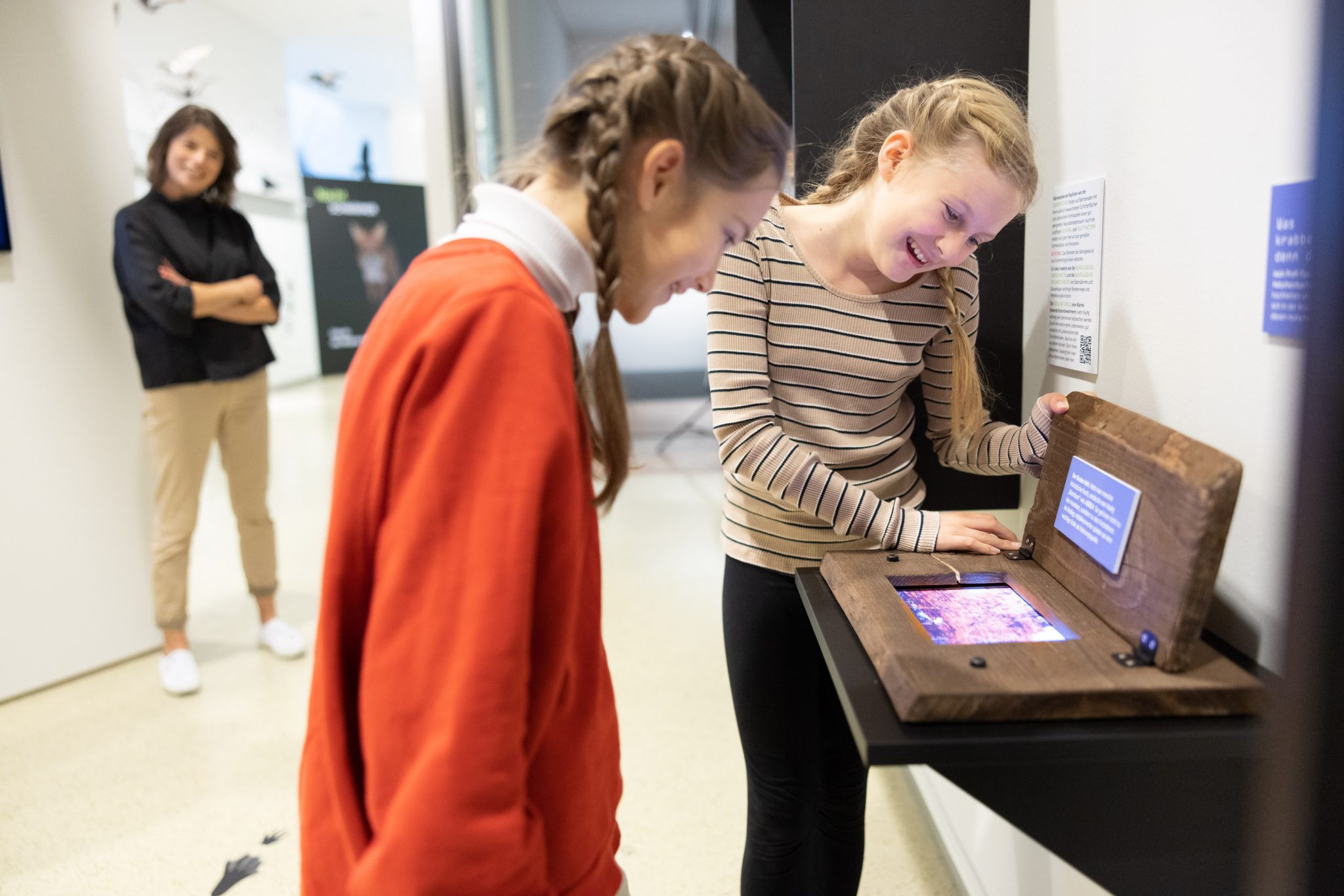 Ausstellung _Wildnis Stadt_ - Was wohnt unter dem Holz_D. Hinterramskogler