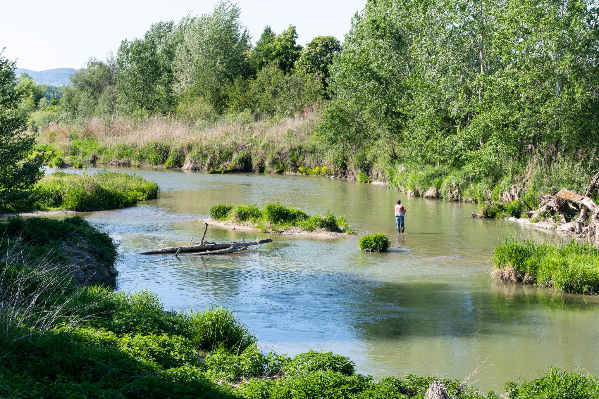 2020-05-07 KW Ottensheim-Wilhering 11
