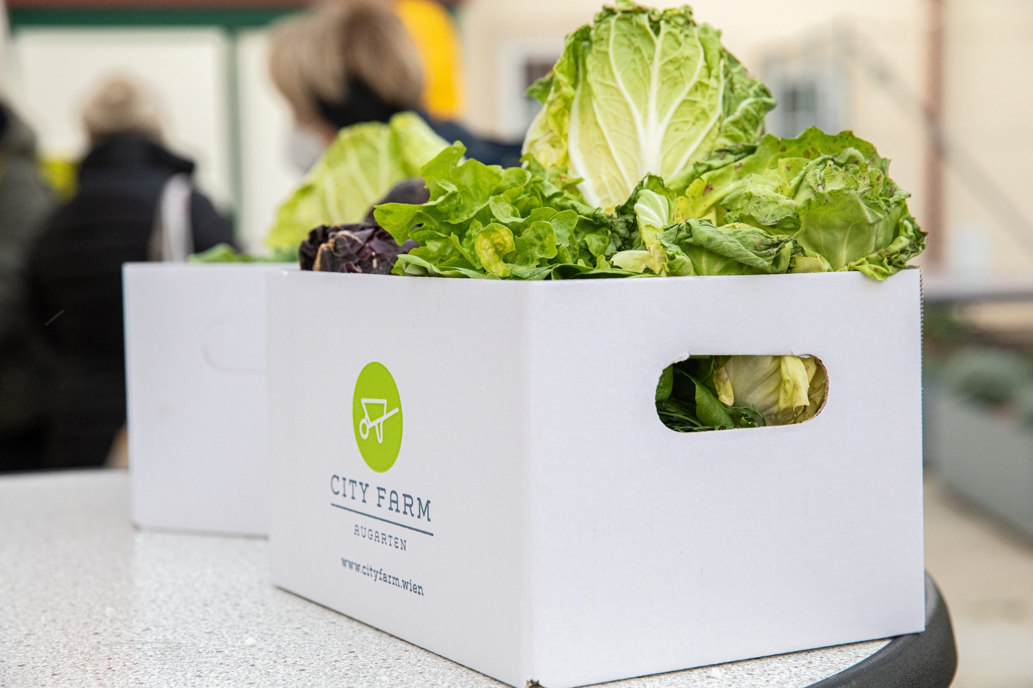 Gourmet Kids_Ernten im Schnee_Bild 4_ (c)Gourmet_07022022