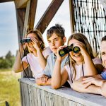 Hohenau_N1A6084-2(c)Schwarz-König und Sinzinger