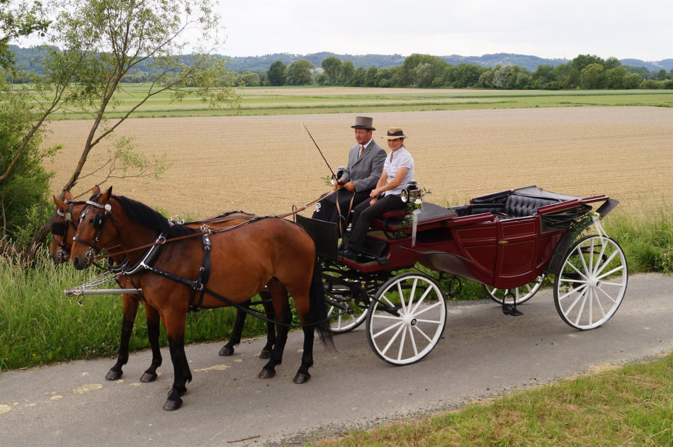 Kutschenfahren