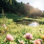 natureindruecke_bezaubern_in_algund_c_benjamin_pfitscher_tourimusverband_algund