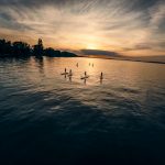PADL Bodensee Am Südufer des Bodensees findet man alles, was ein Paddelherz hher schlagen lsst.