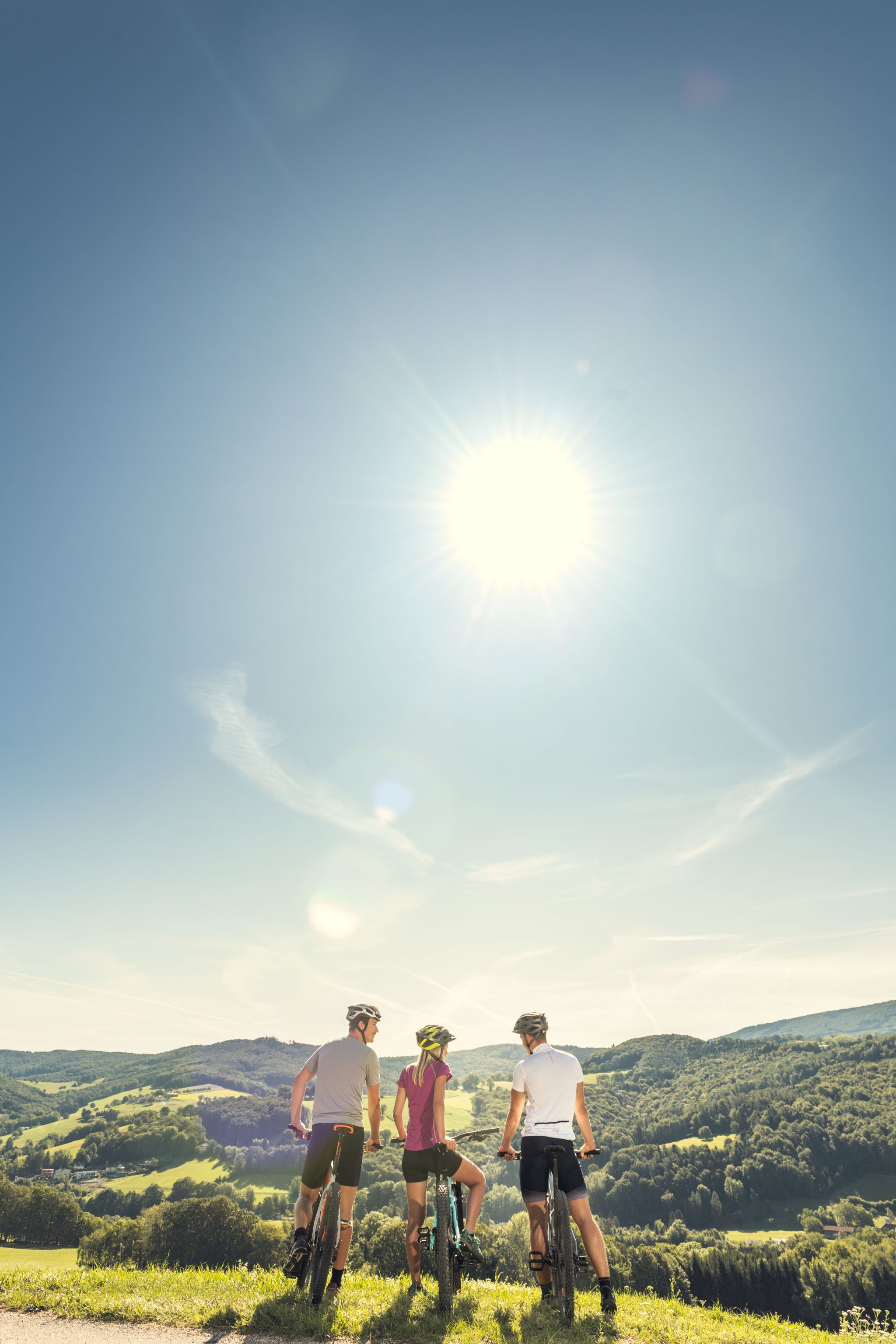 Mountainbiken Elsbeere