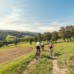 Elsbeere-Panoramastrasse