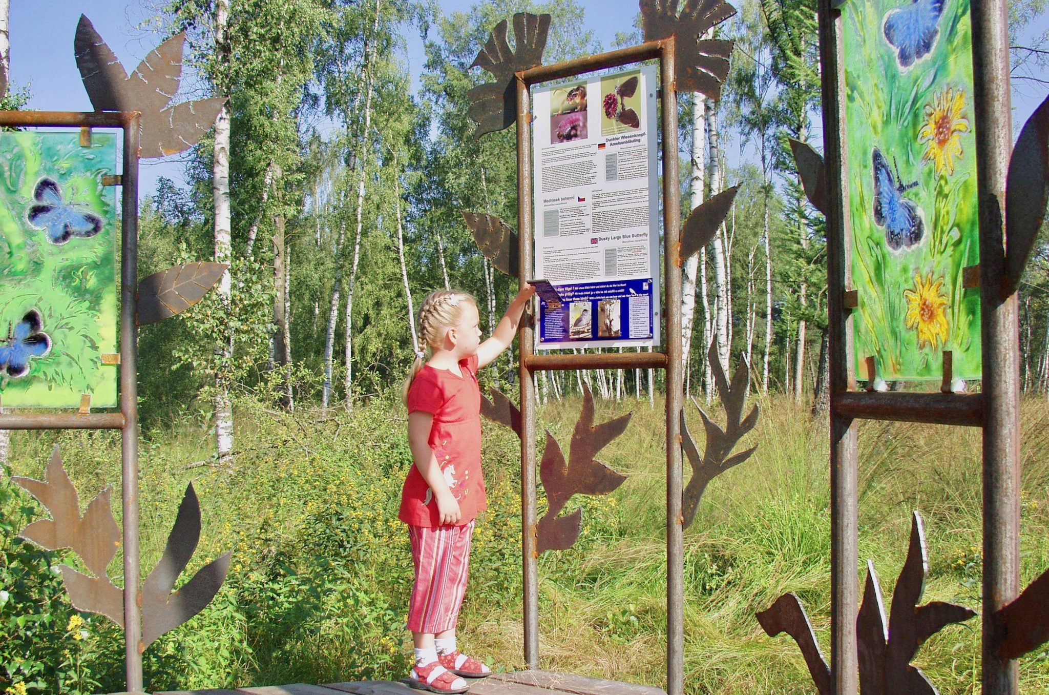 Bei Arrach können Wanderer auf einem Lehrpfad eines der letzten lebenden Hochmoore Bayerns entdecken