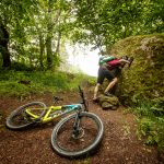 Granittrail,Langschlag_7031©Waldviertel Tourismus, Erwin Haiden