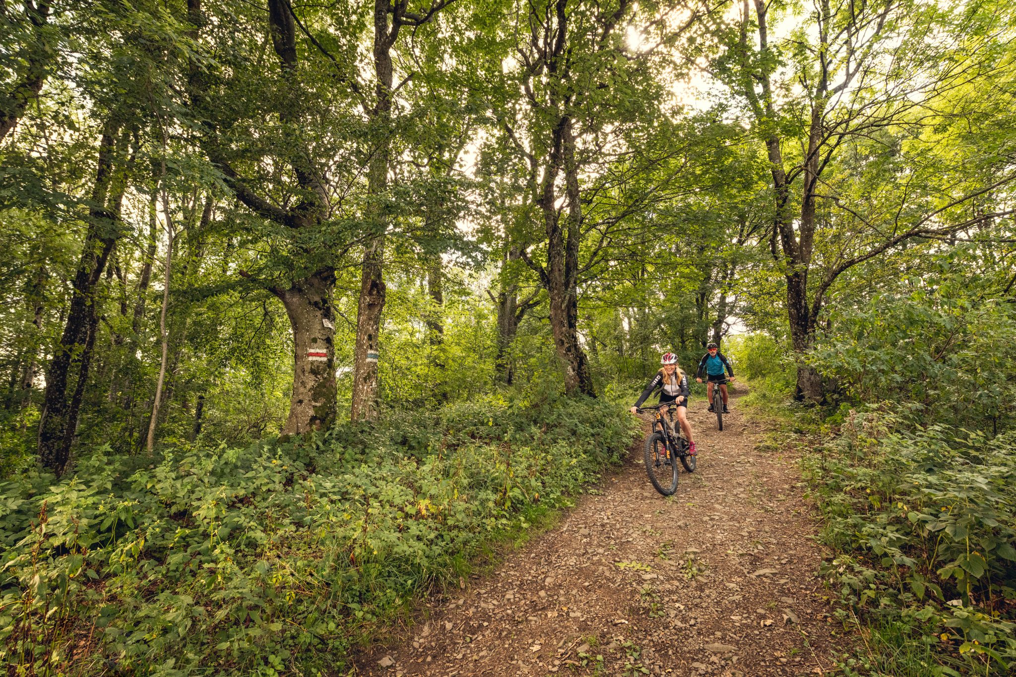 Region Elsbeere/Mountainbike/Wandern/Hütte