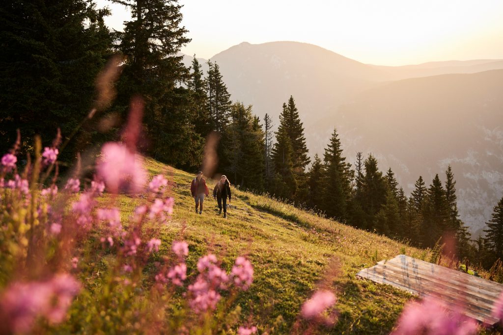 Wer es weiter sportlich angehen will, wandert vom Preiner Gscheid auf das Raxplateau und genie§t dort die grandiose Aussicht auf Schneeberg, Schneealpe sowie Wechsel und Semmering. Fr die schnelle Anreise sorgen die
ffis im Verkehrsverbund Ost-Region (VOR).