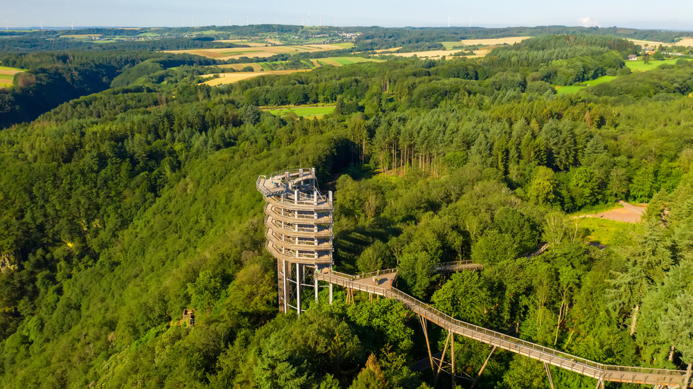 Treetop,Path,Saarschleife,Excursion,Destination,For,The,Whole,Family,,Filmed
