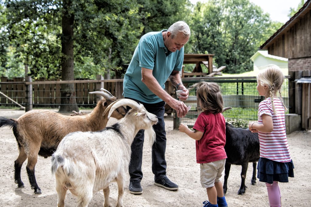 Im Wildpark von Schweinfurt