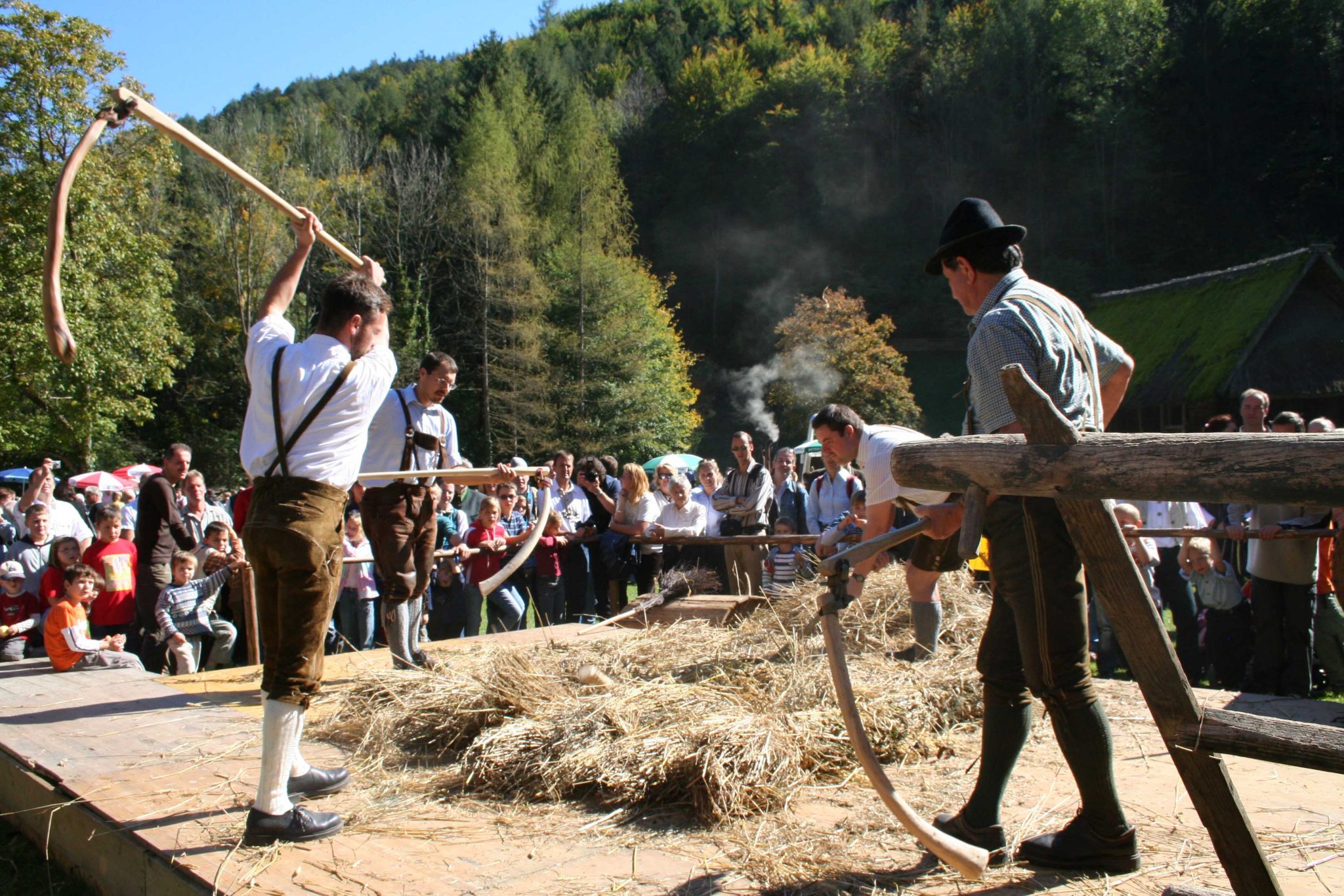 Beim Dreschen am Erlebnistag im Österreichischen Freilichtmuseum Stübing dabei zu sein sollte man sich nicht entgehen lassen.