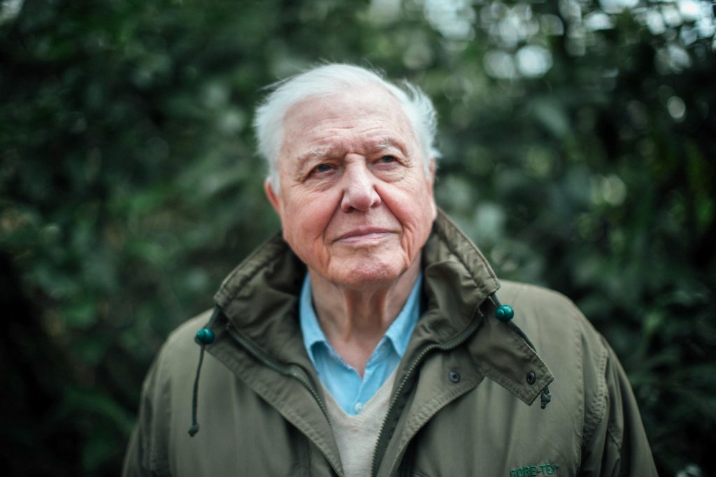 Picture shows_Sir David Attenborough