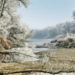 Nationalpark Donau Auen