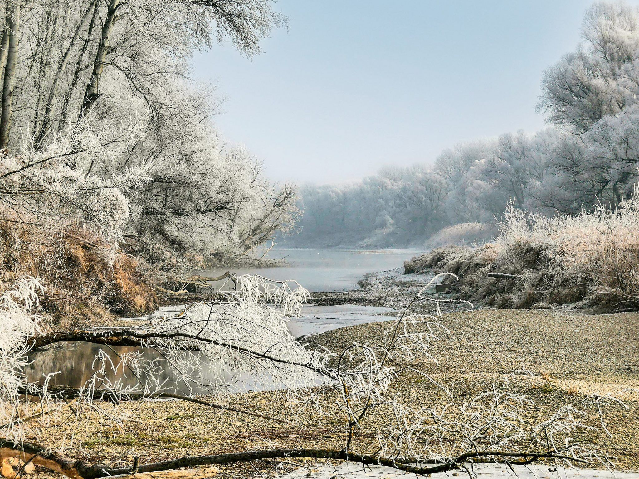 Nationalpark Donau Auen