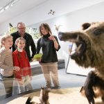 Ausstellung _Wildnis Stadt_-1