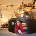 Ausstellung _Wildnis Stadt_