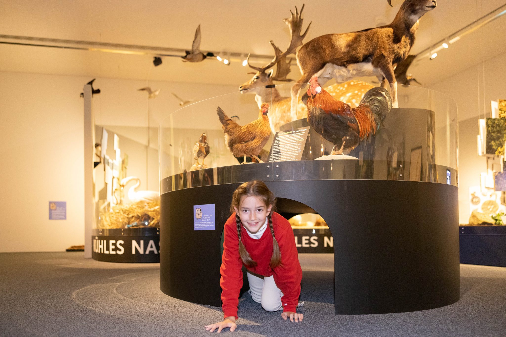 Ausstellung _Wildnis Stadt_