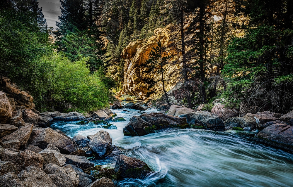 Wild,River,In,A,Mountain,Forest.,River,Flow.,Mountain,Forest