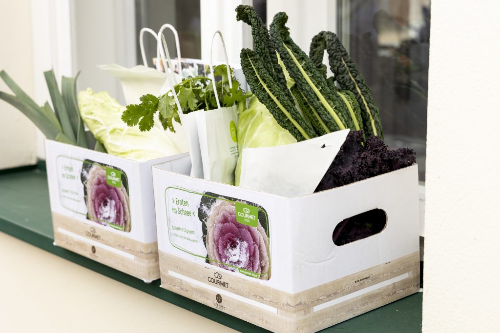 Gemüsekisterl_(c)Gourmet