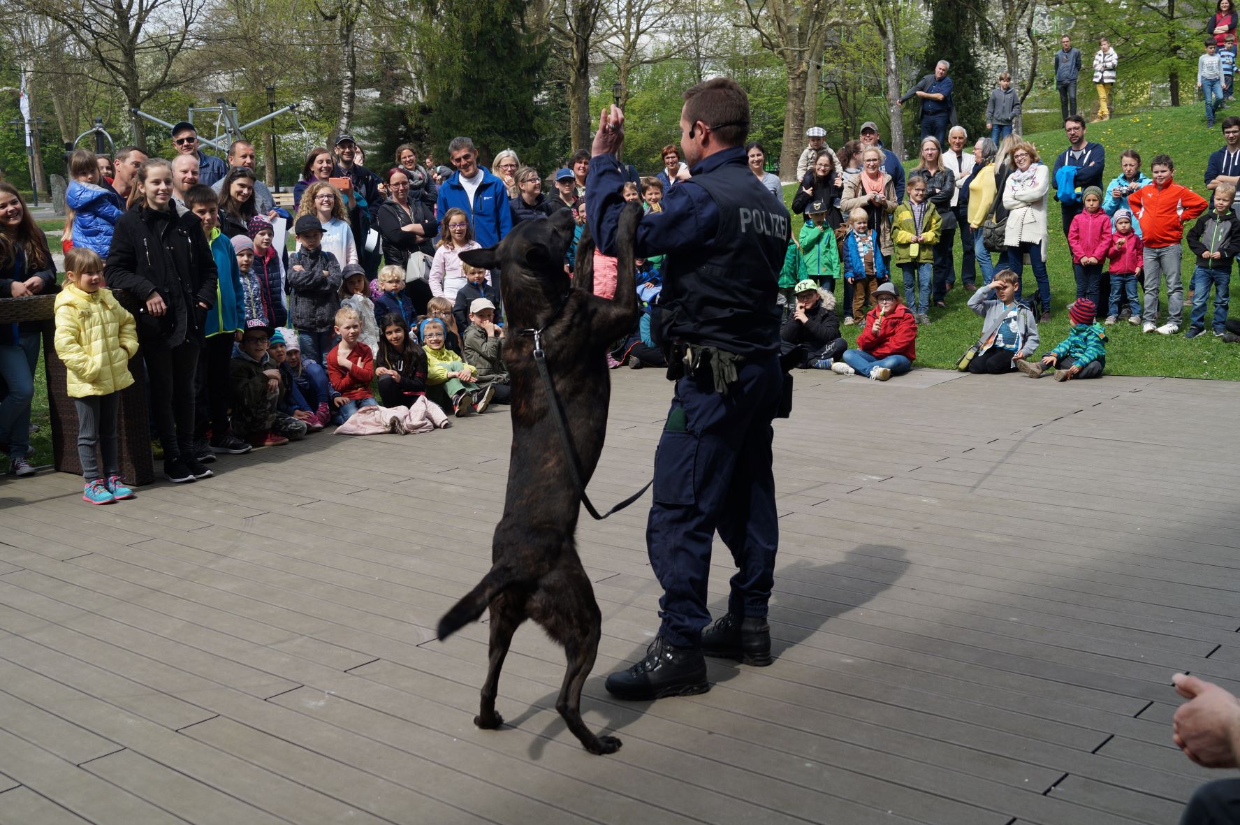 Hund DSC05724