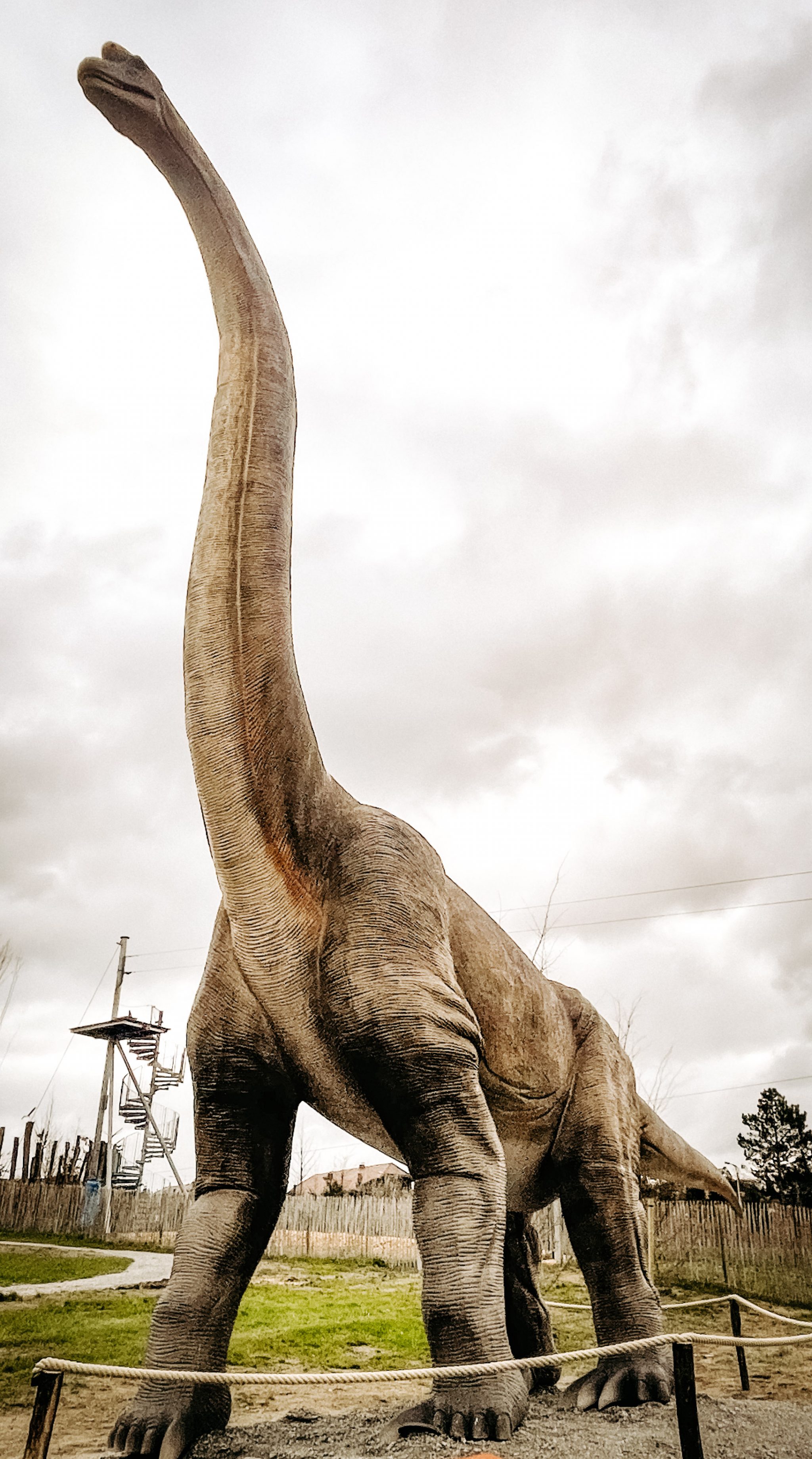 Brachiosaurus(1)
