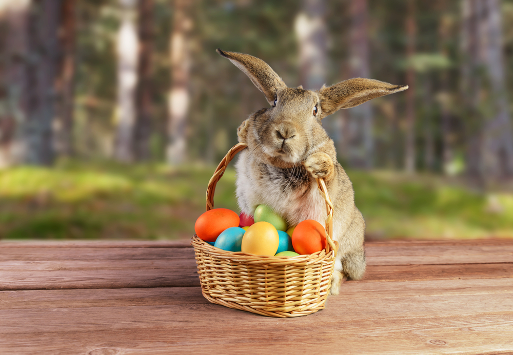 Easter,Cute,Bunny,Sitting,With,Basket,Of,Colored,Eggs,On