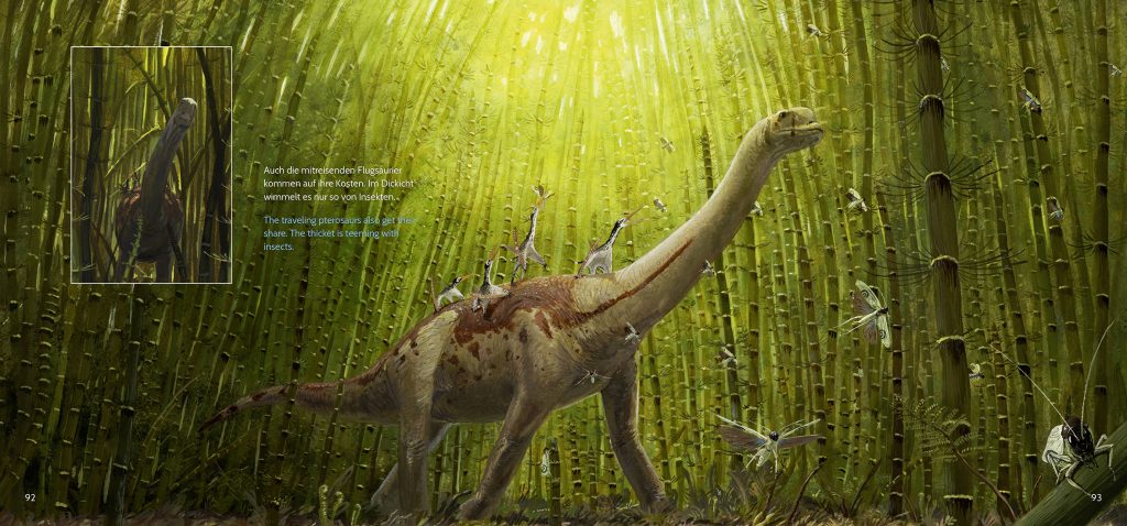 Europasaurus Jungtier Wing & Knüppe