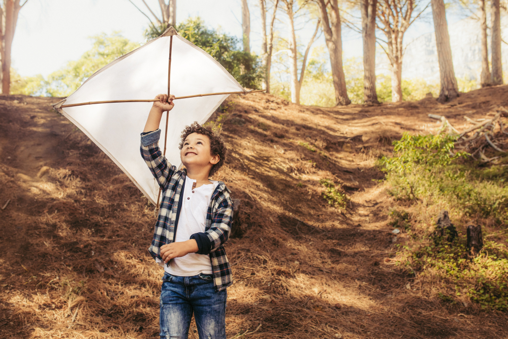 Cute,Boy,Flying,A,Kite.,Child,Playing,With,A,Handmade