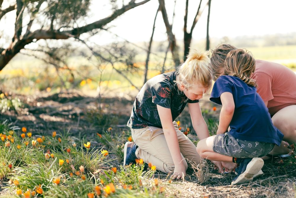 Group,Of,Male,Children,Playing,Together,In,Nature