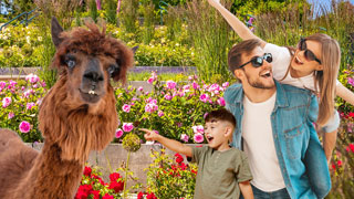 jubilaeumsfest-oberlaa