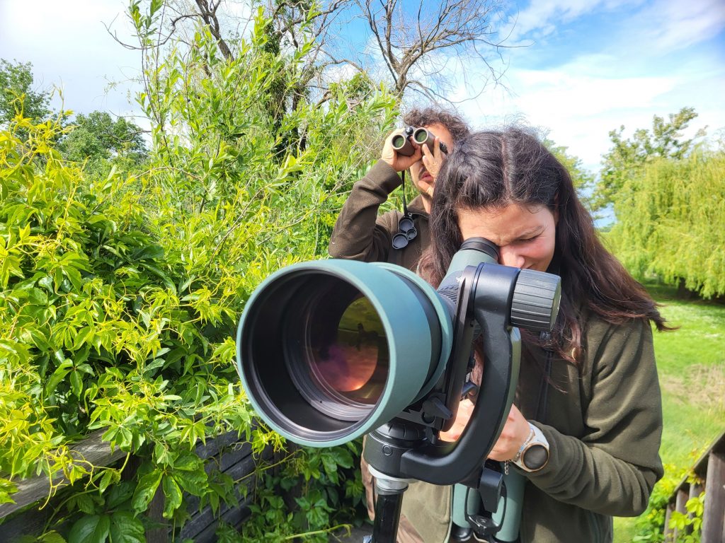 Team St Martins Ornivision Song Contest_04