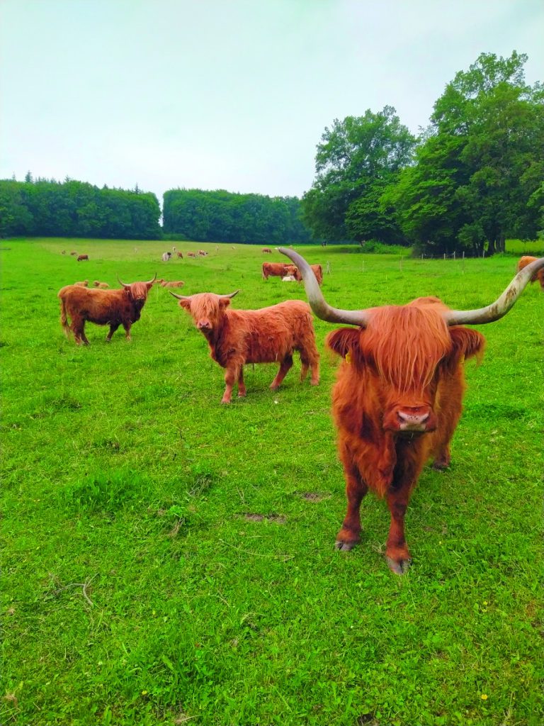 DIREKT VOM BAUERNHOF: Wissen, wo mein Essen herkommt