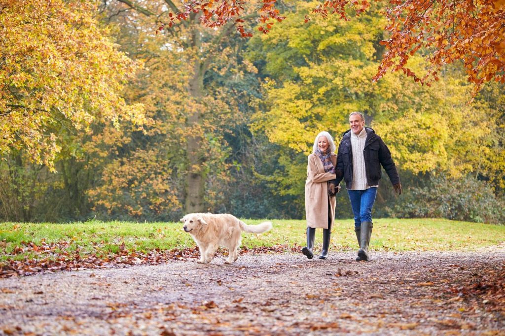 Zeigen Sie dem Herbstblues die Zähne